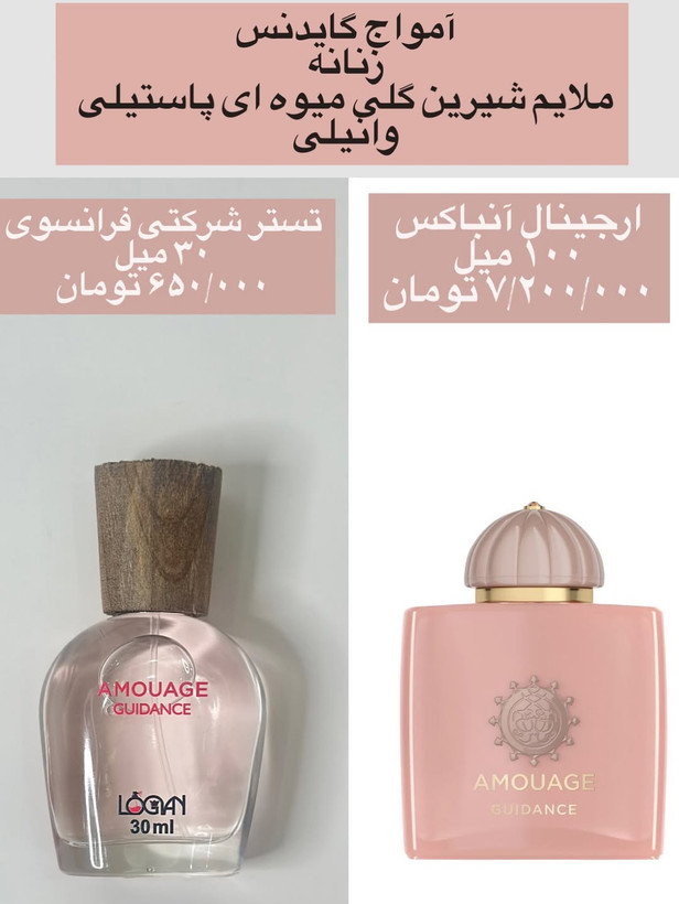 تستر شرکتی فرانسوی آمواج گایدنس 30 میل لوگان