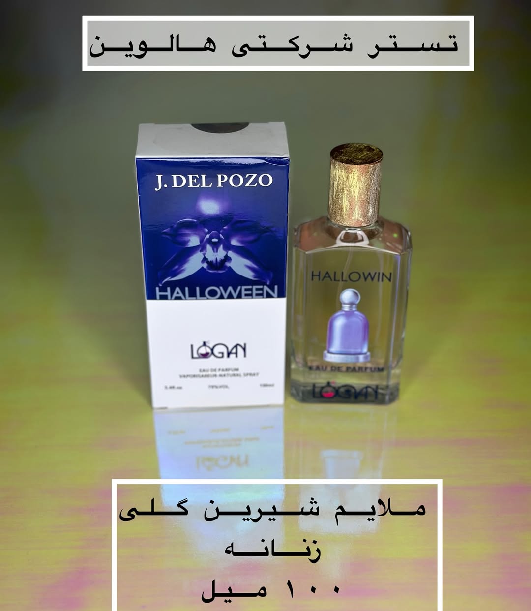 تسترشرکتی فرانسوی هالوین زنانه لوگان