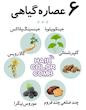 شامپو رنگ گیاهی بدون دکلره و اکسیدان برند دکسی